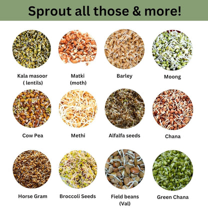 720ml Durable & Reusable Sprouts Maker Glass Jar  for All Seeds and Beans, BPA-Free