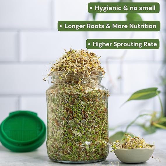 720ml Durable & Reusable Sprouts Maker Glass Jar  for All Seeds and Beans, BPA-Free